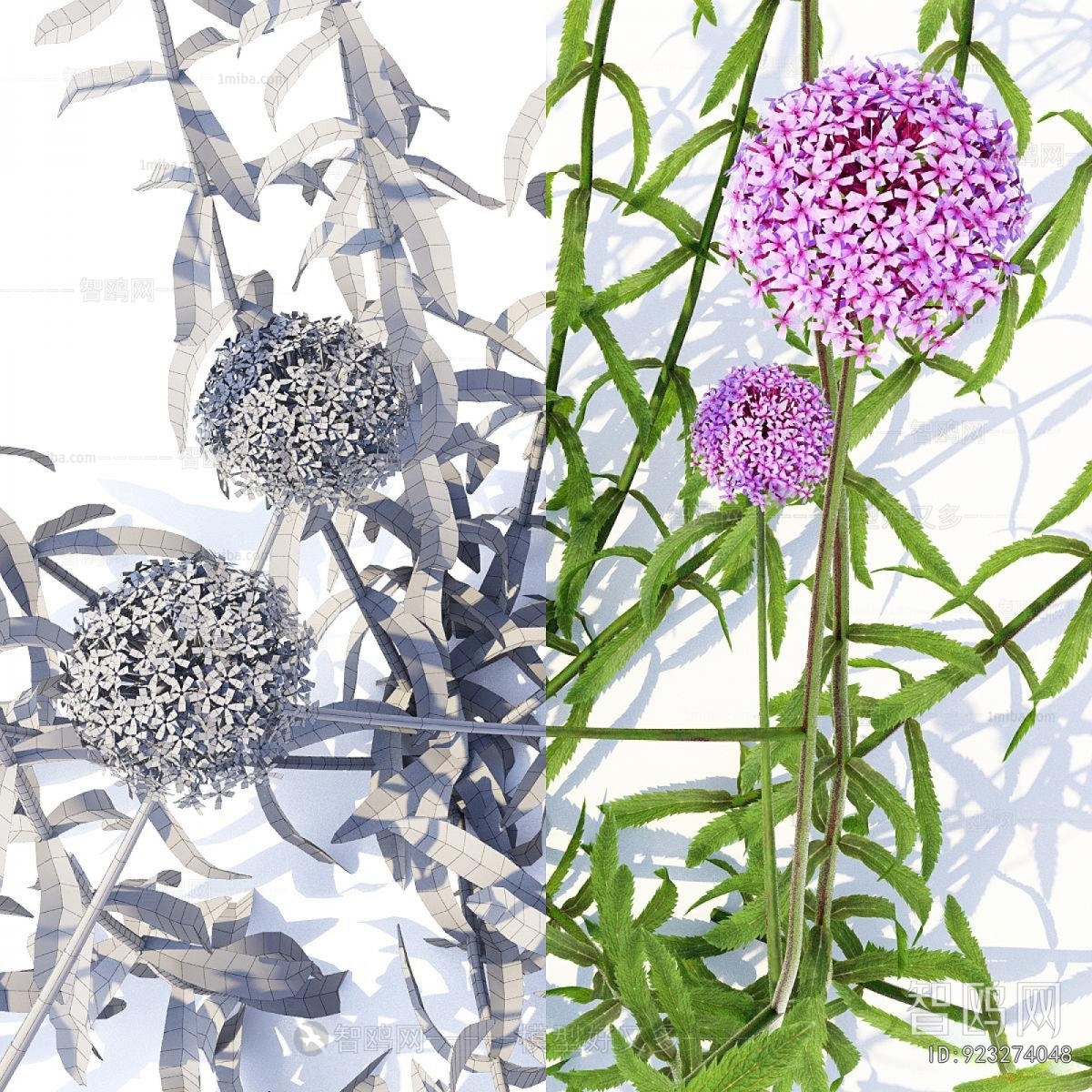 Modern Flowers And Grass