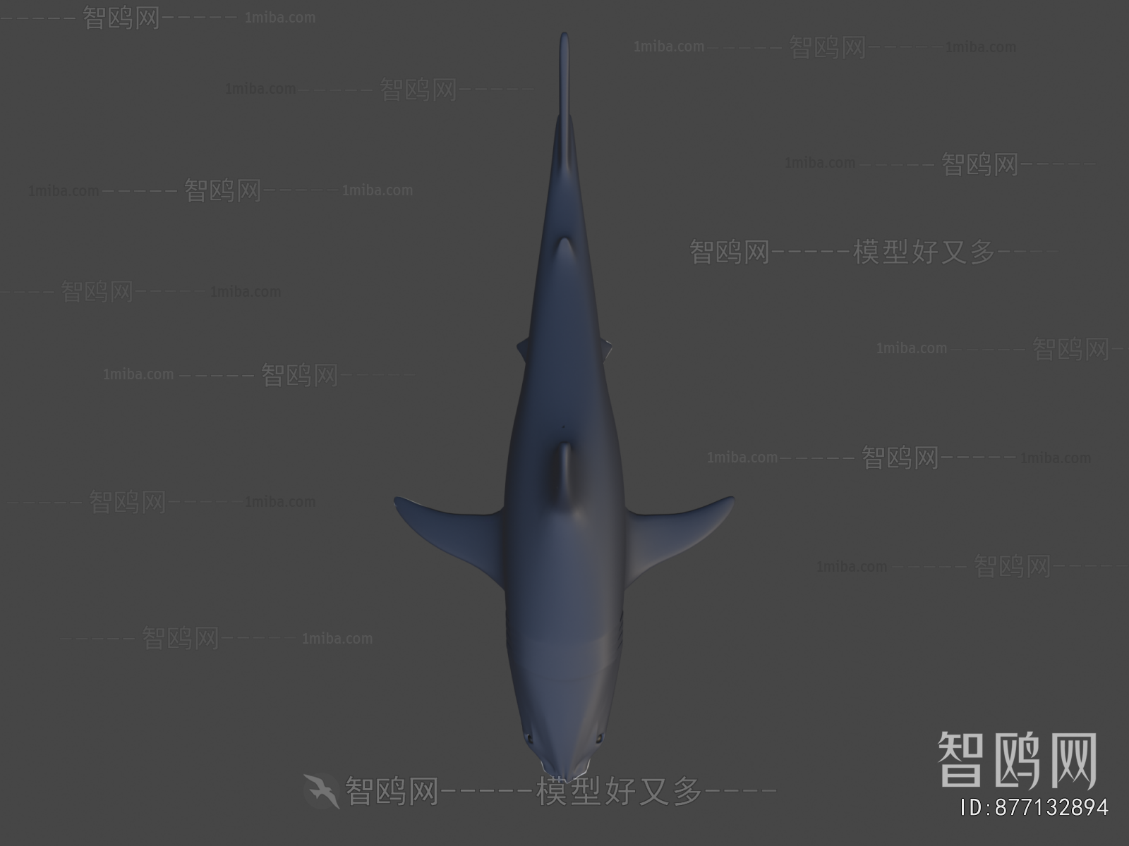 Modern Aquatic Animals