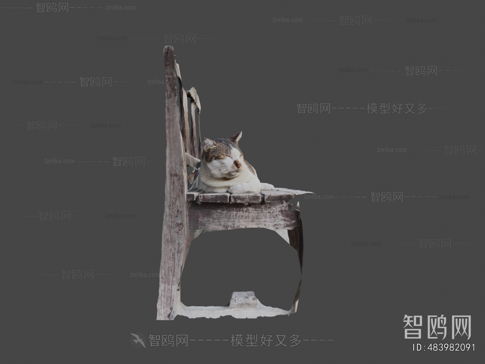 Modern Animal Cat