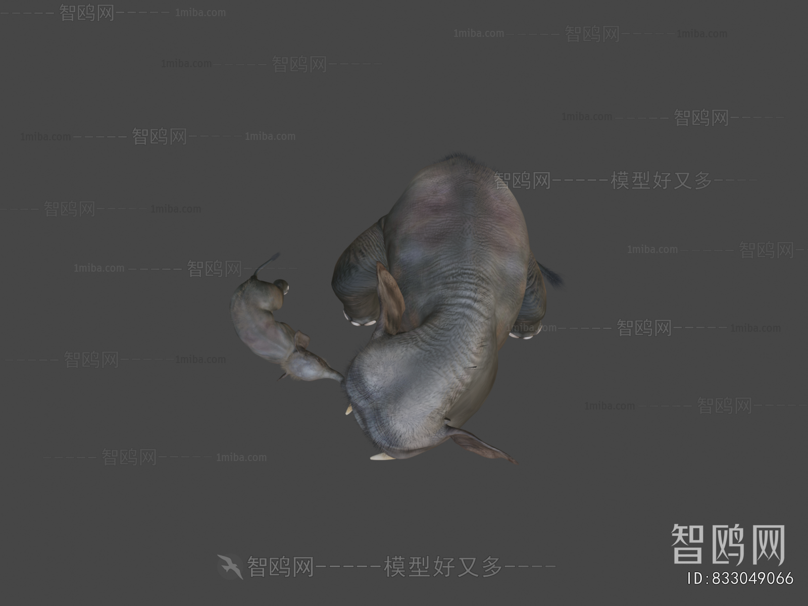 Modern Animal