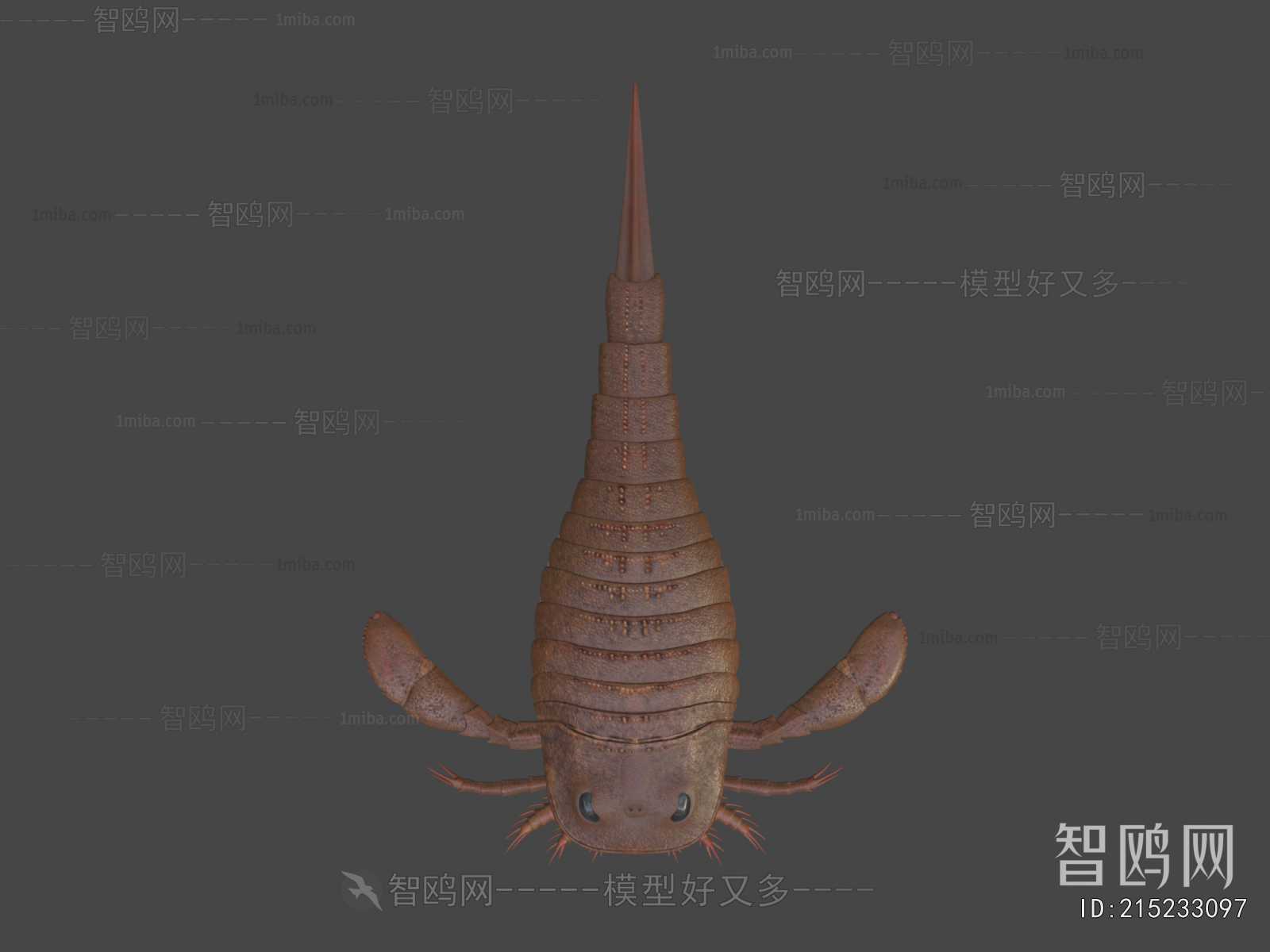 Modern Animal