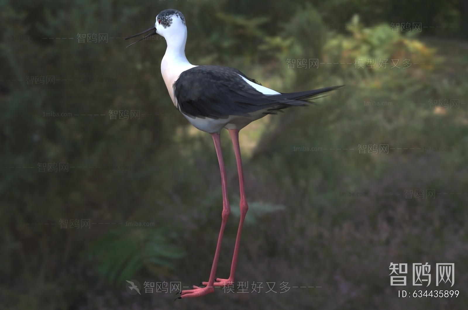 Modern Flying Animals