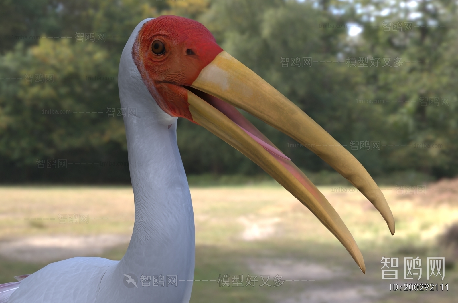 Modern Flying Animals