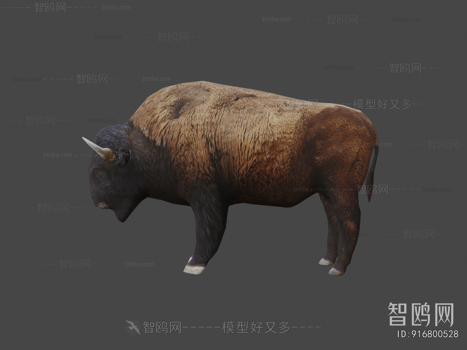 Modern Animal