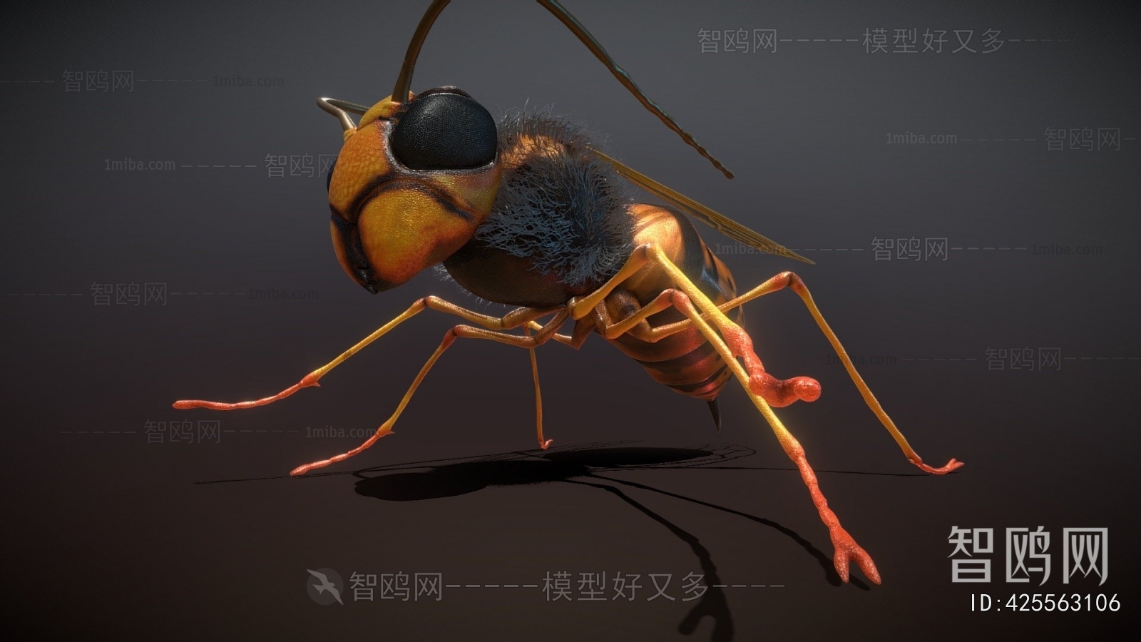 Modern Animal