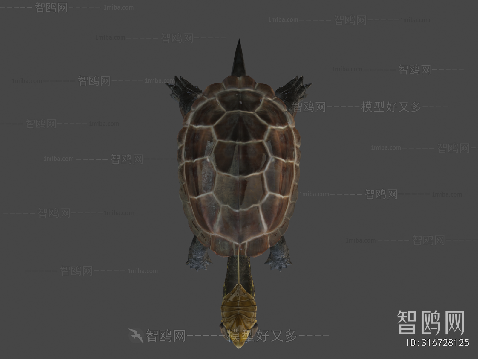 Modern Reptile