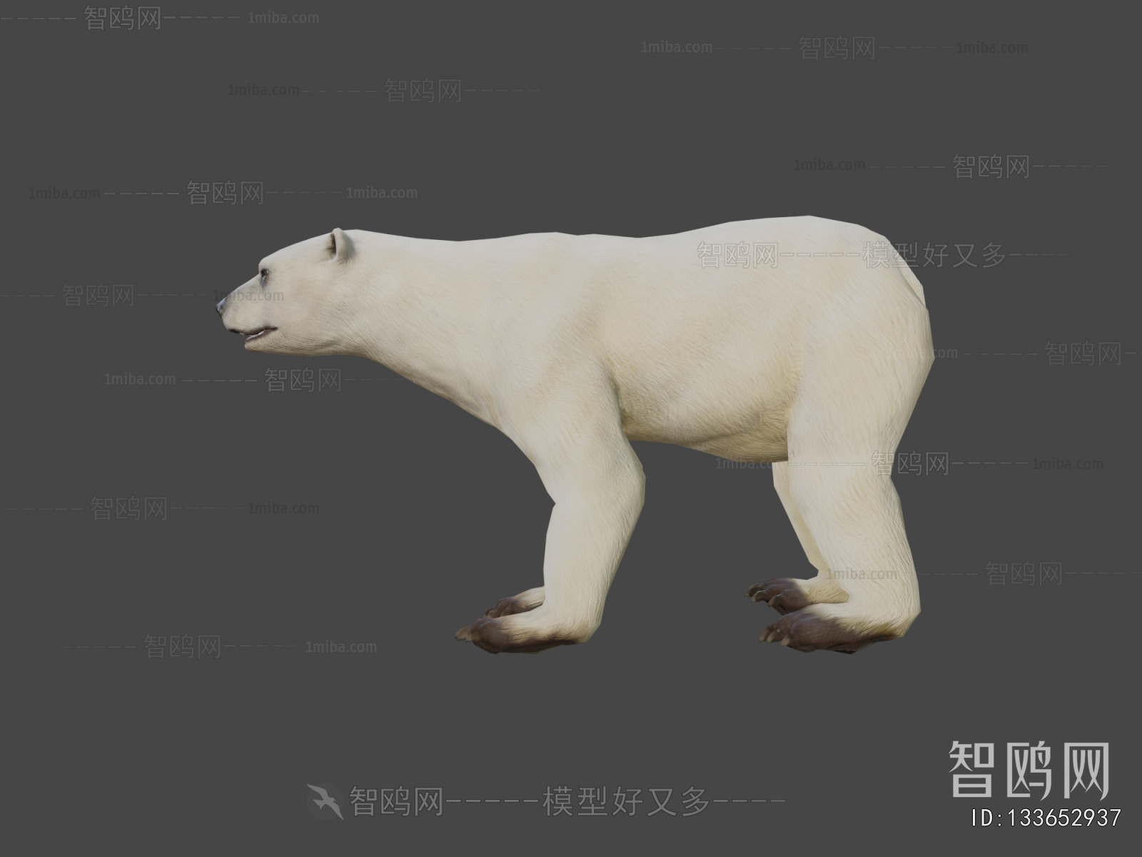 Modern Mammal