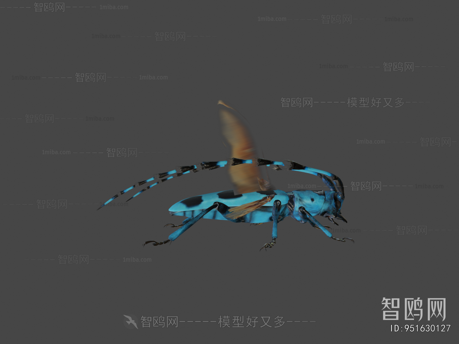 Modern Animal