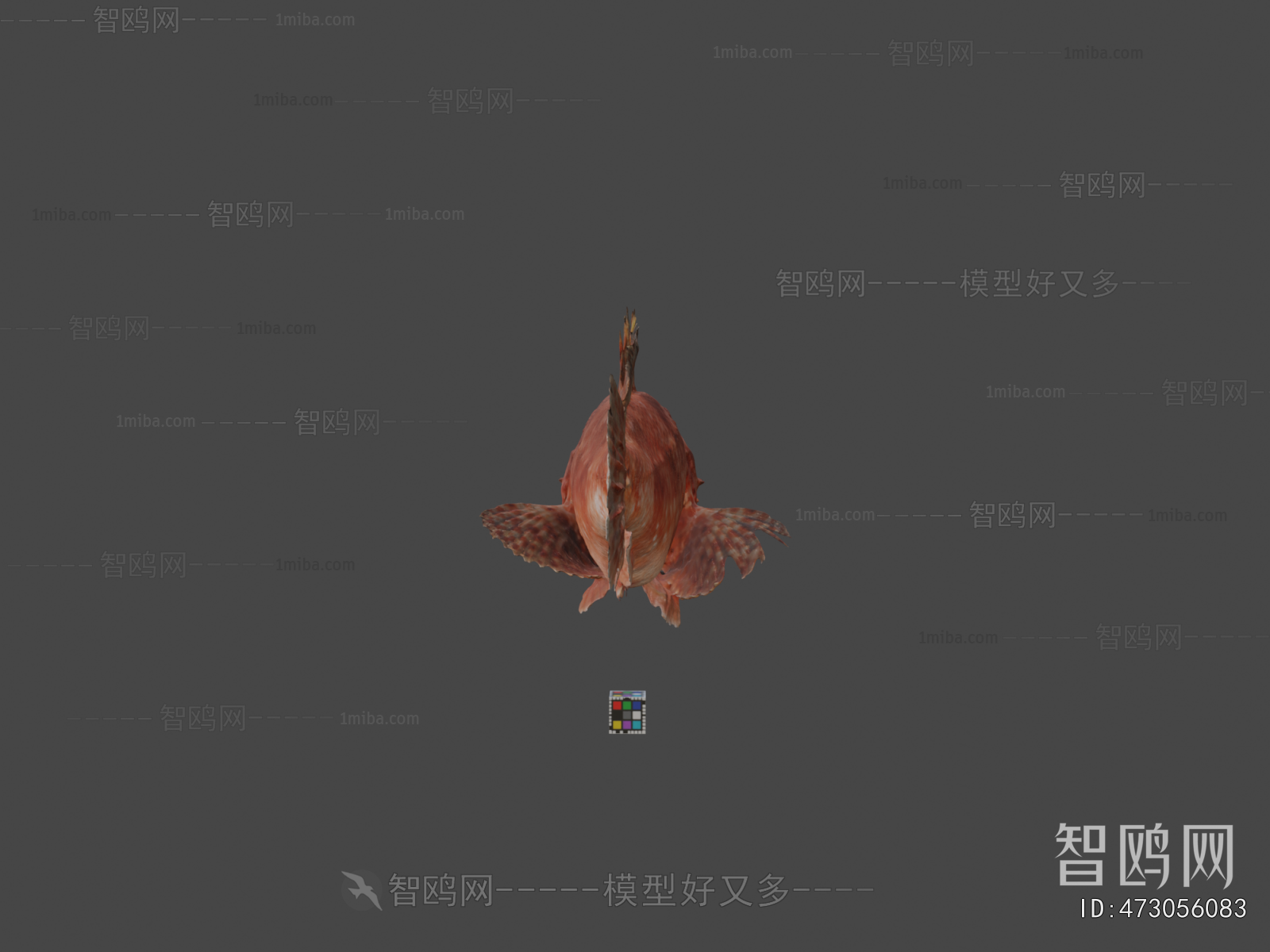Modern Aquatic Animals