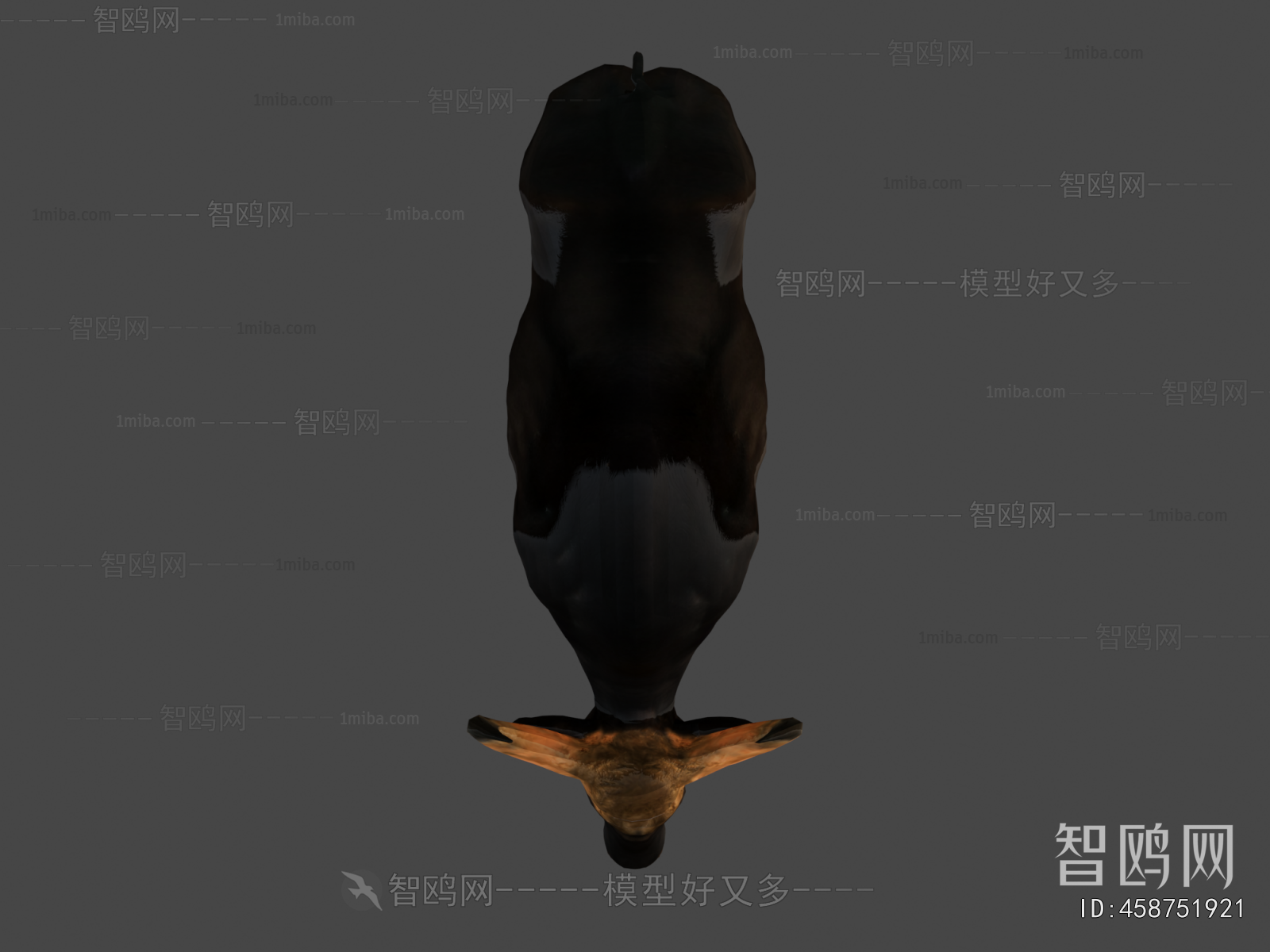Modern Mammal