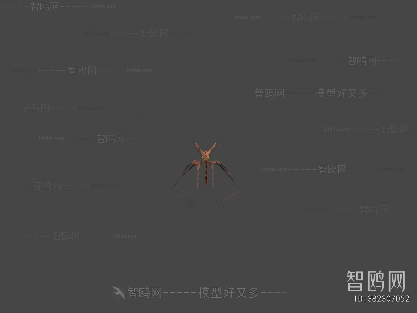 Modern Animal