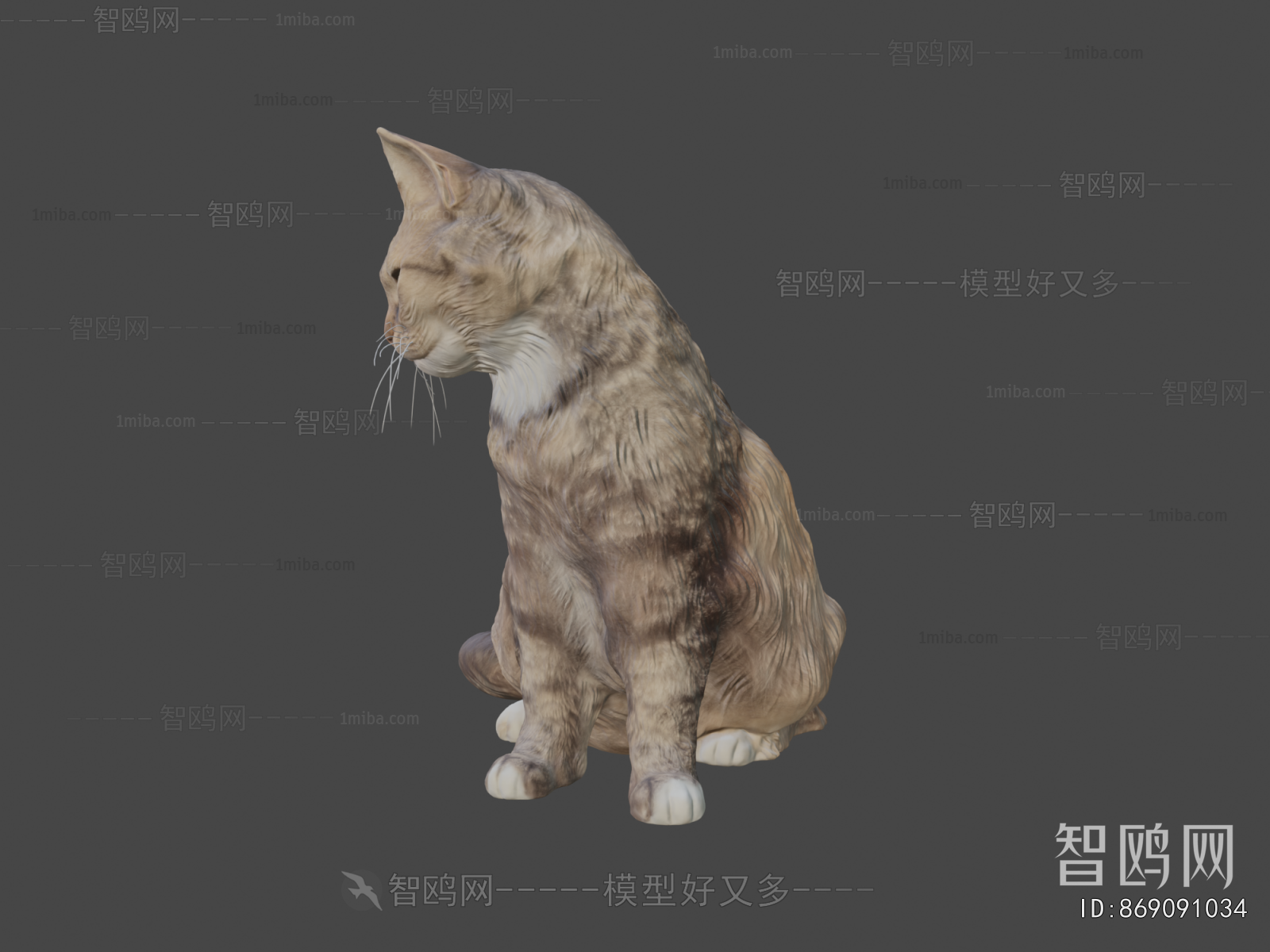 Modern Animal Cat