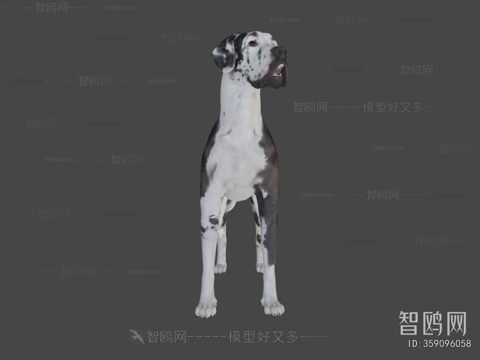 Modern Animal