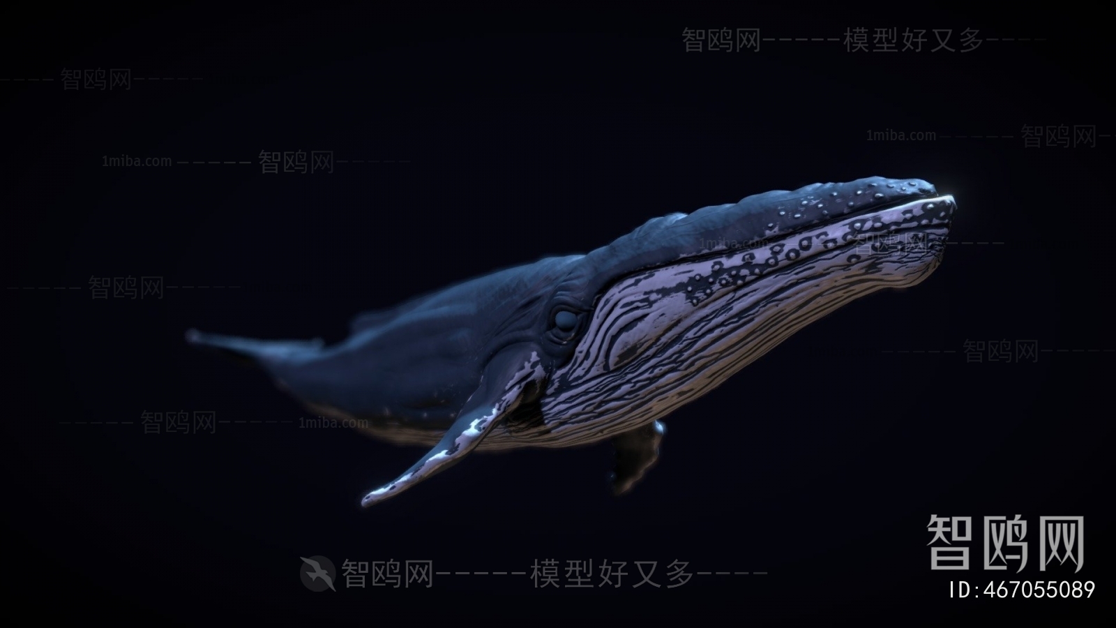 Modern Animal