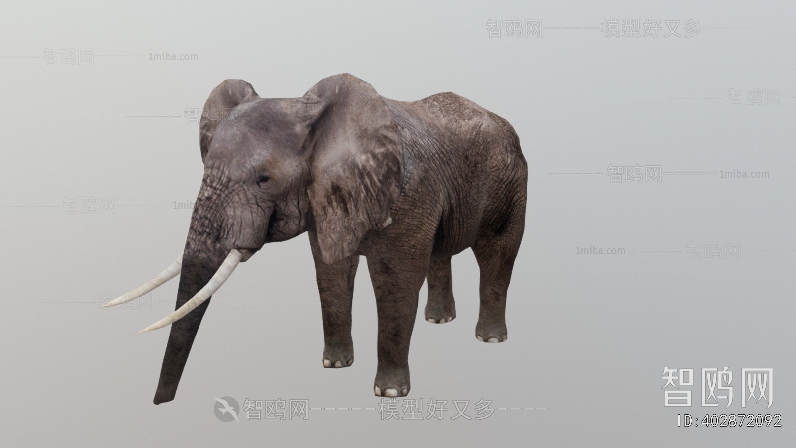 Modern Mammal
