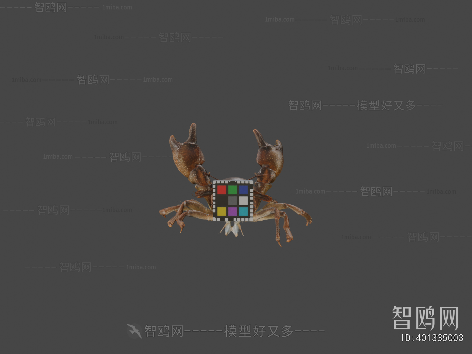 Modern Animal