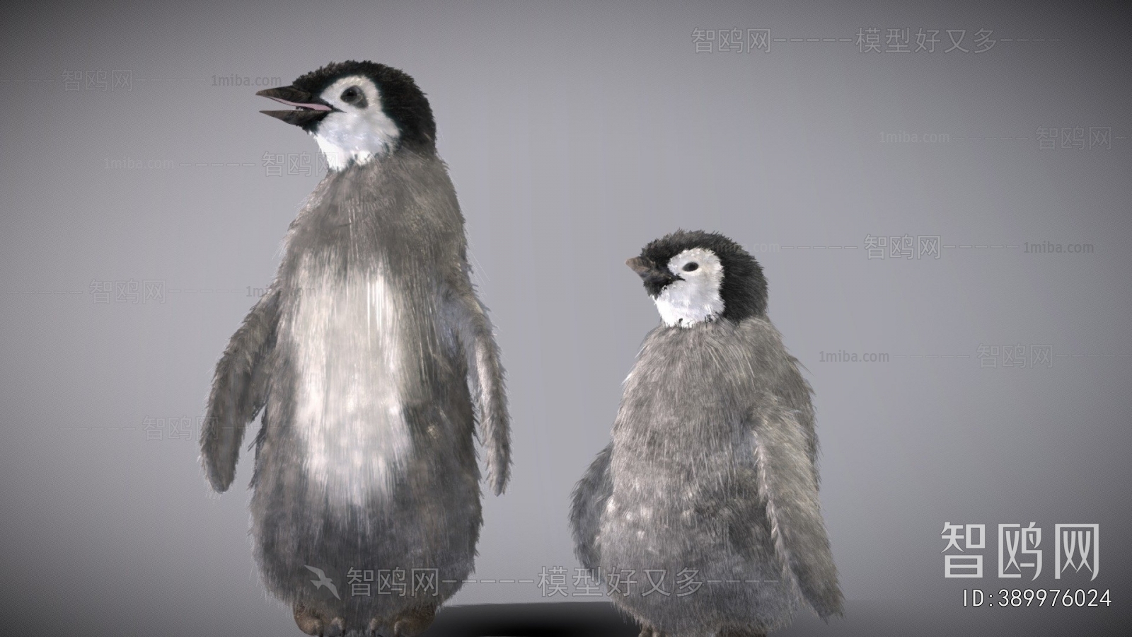 Modern Mammal
