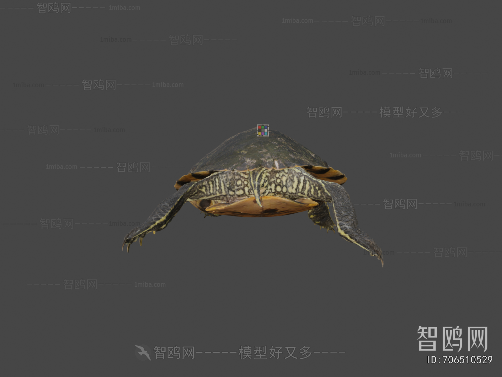Modern Reptile