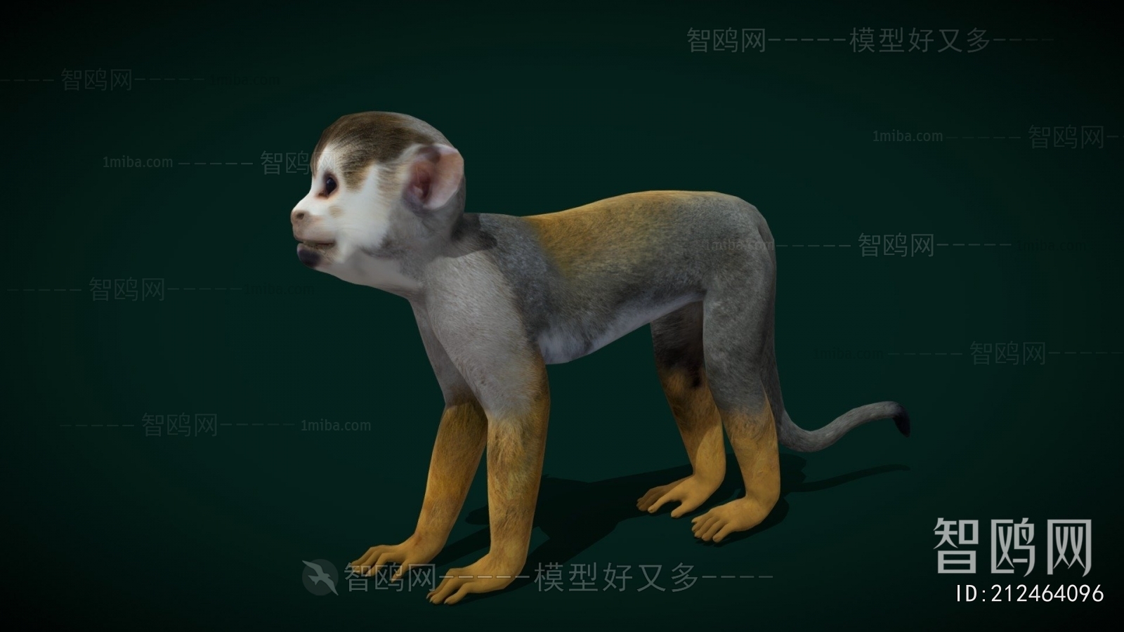 Modern Mammal