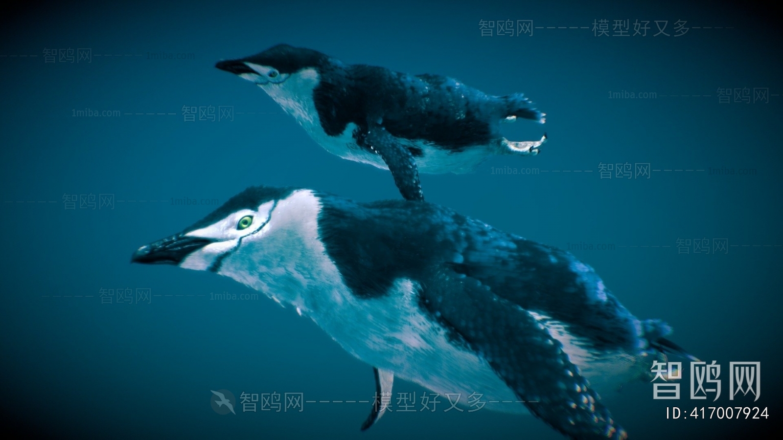 Modern Animal