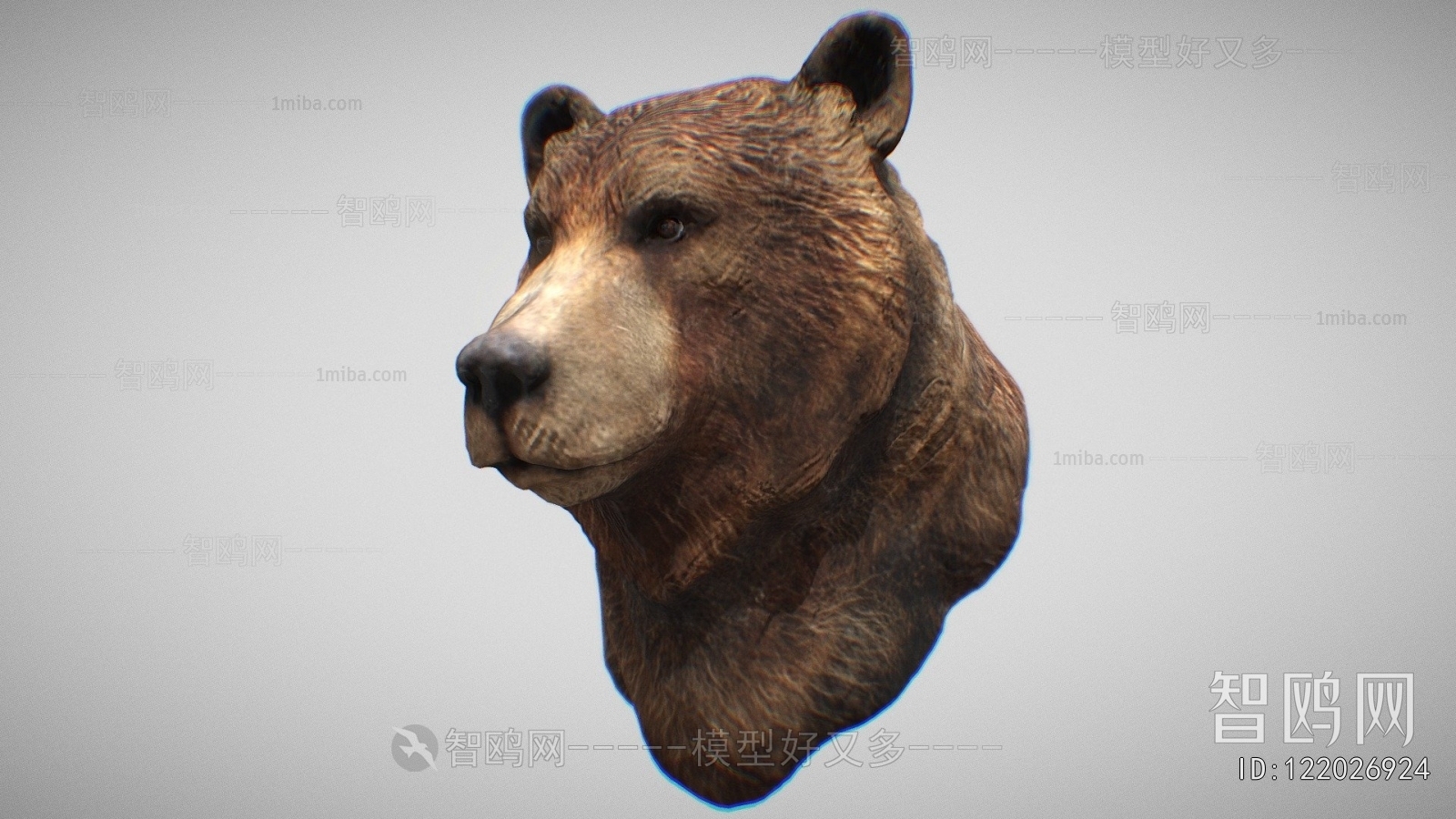 Modern Animal