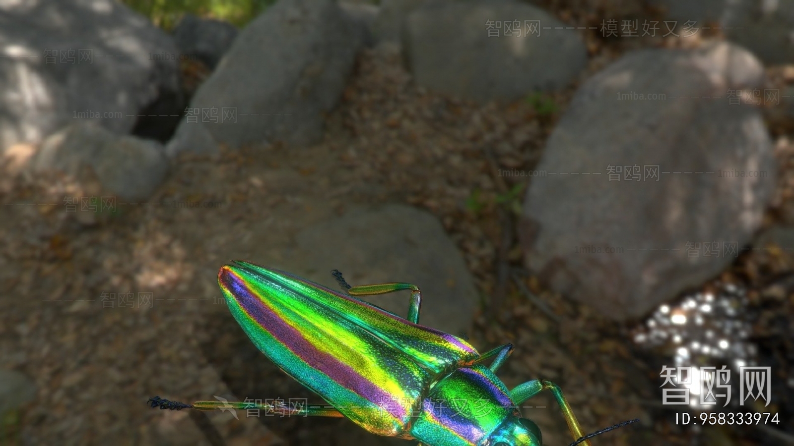 Modern Animal