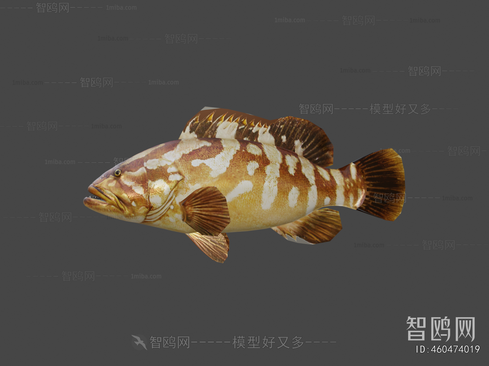 Modern Aquatic Animals