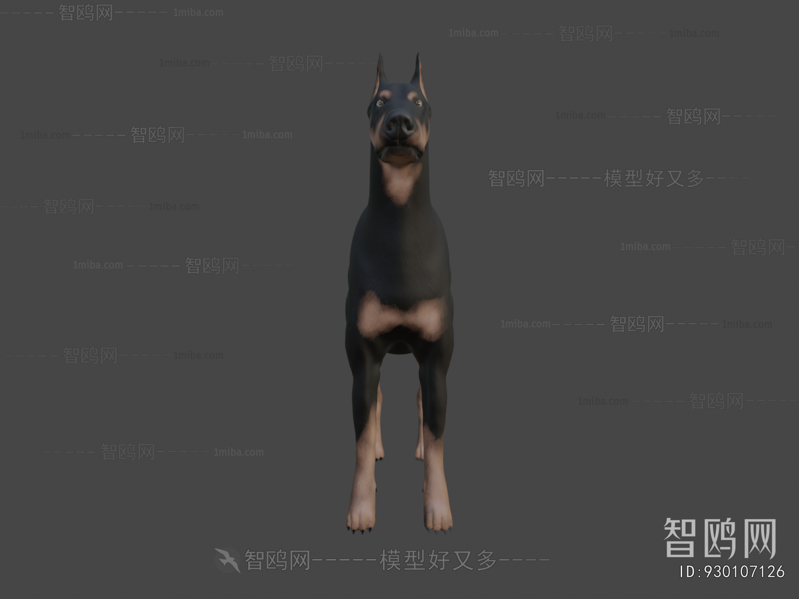 Modern Animal