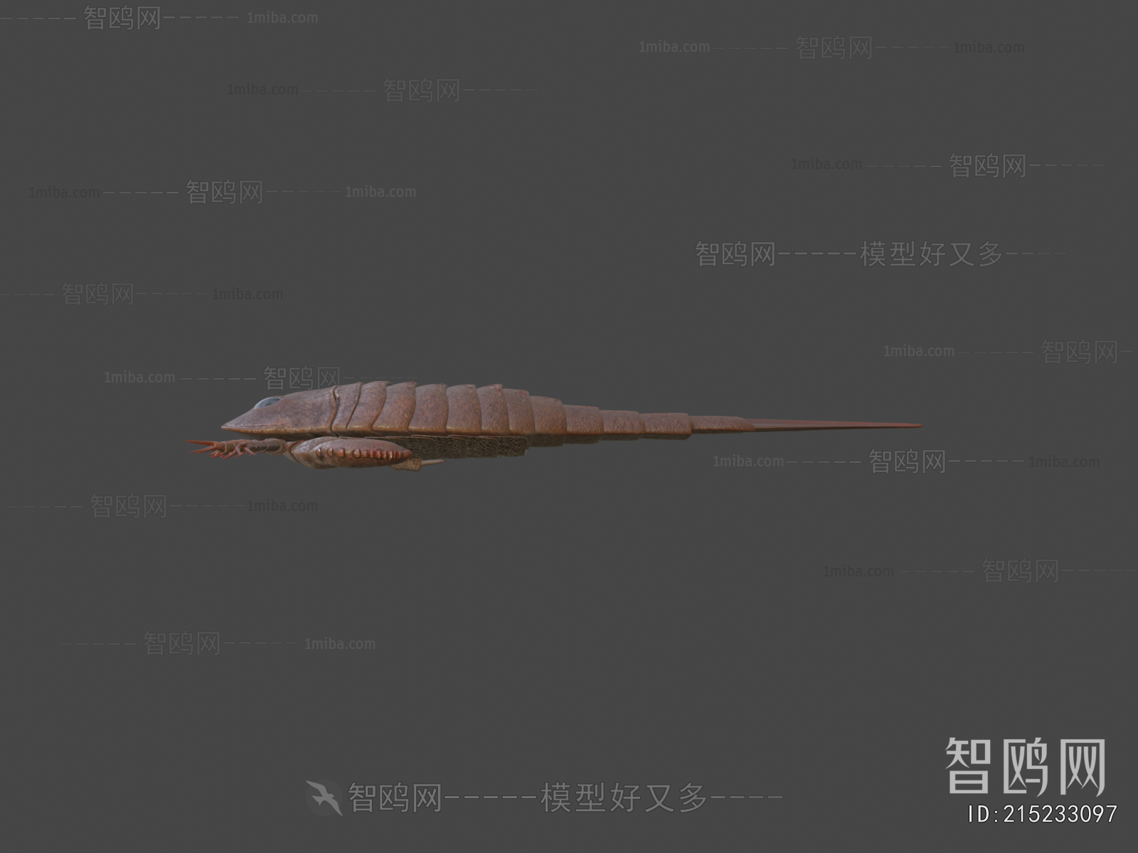 Modern Animal