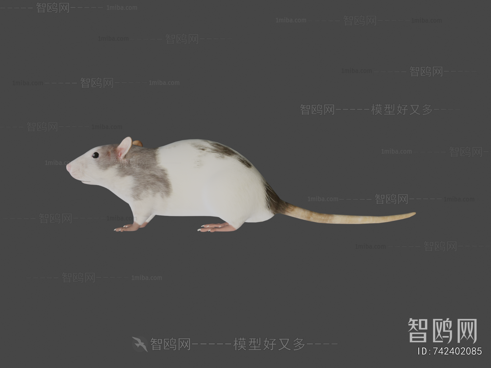 Modern Animal