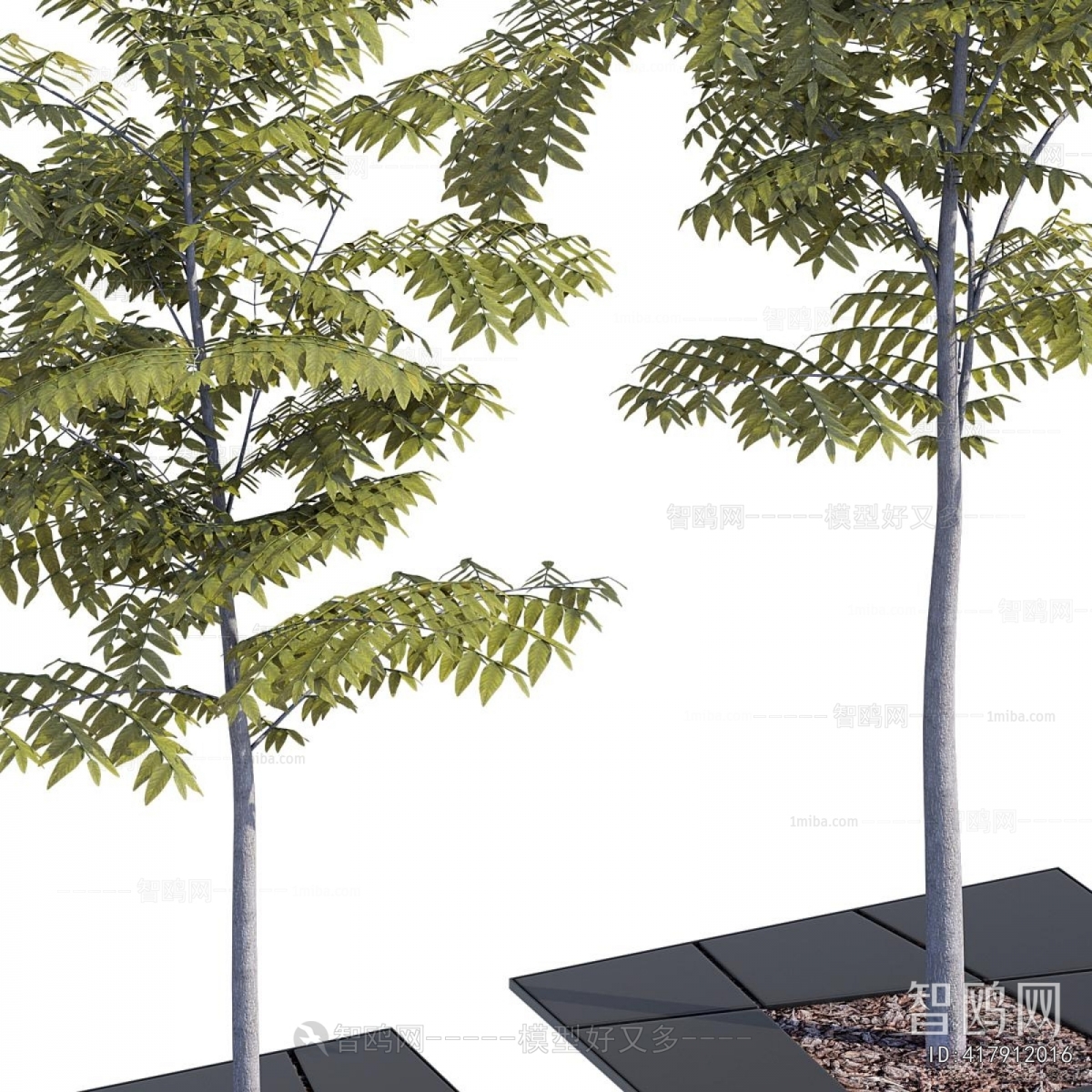 Modern Tree