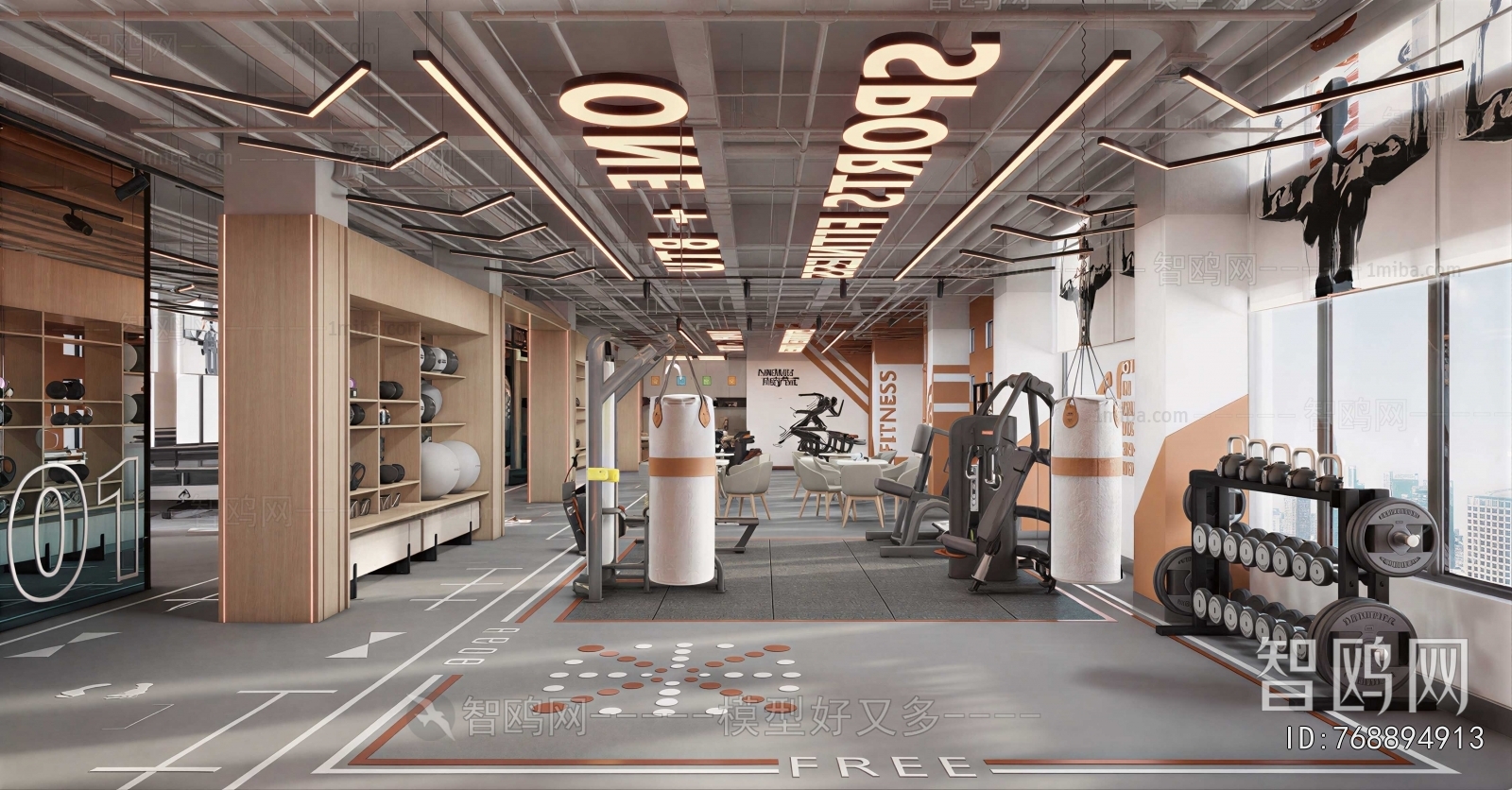Modern Gym