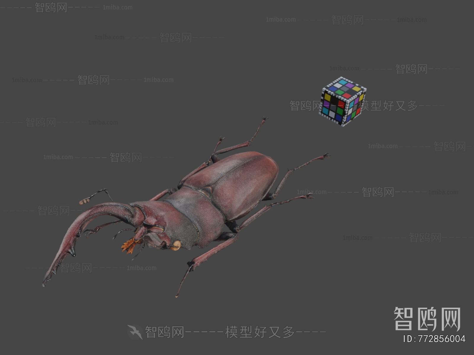 Modern Animal