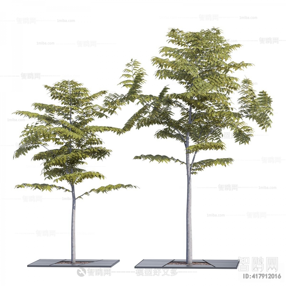Modern Tree