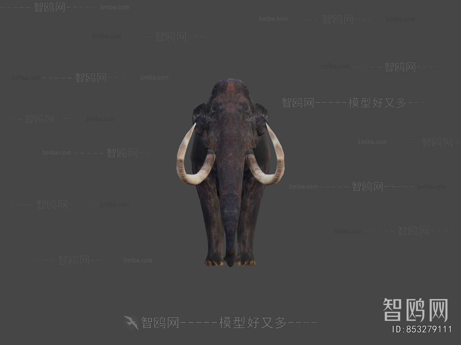 Modern Mammal