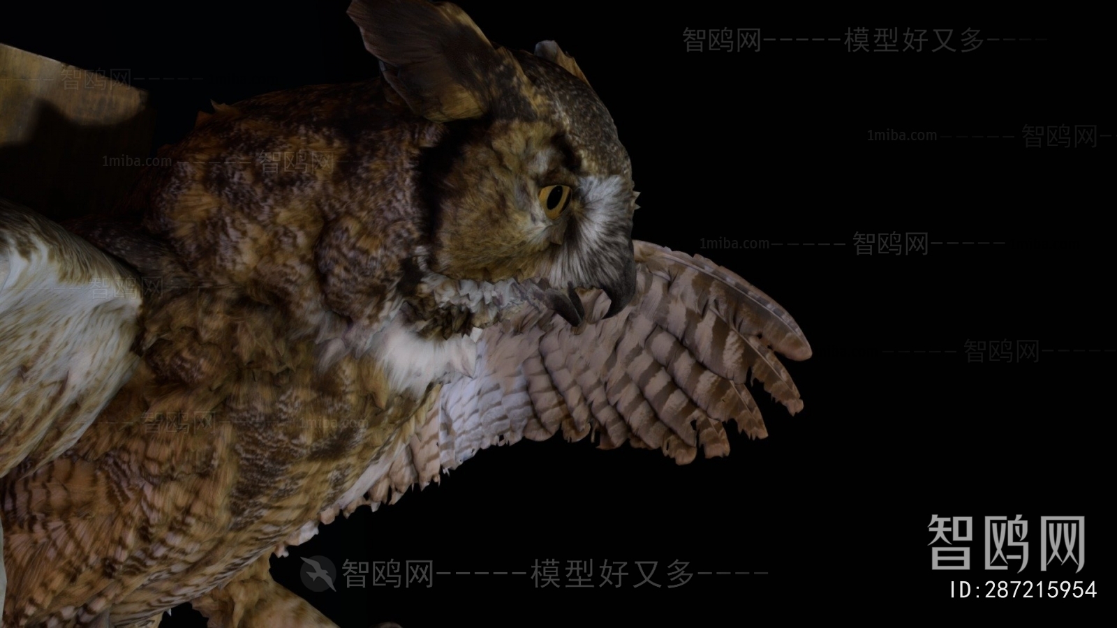 Modern Animal