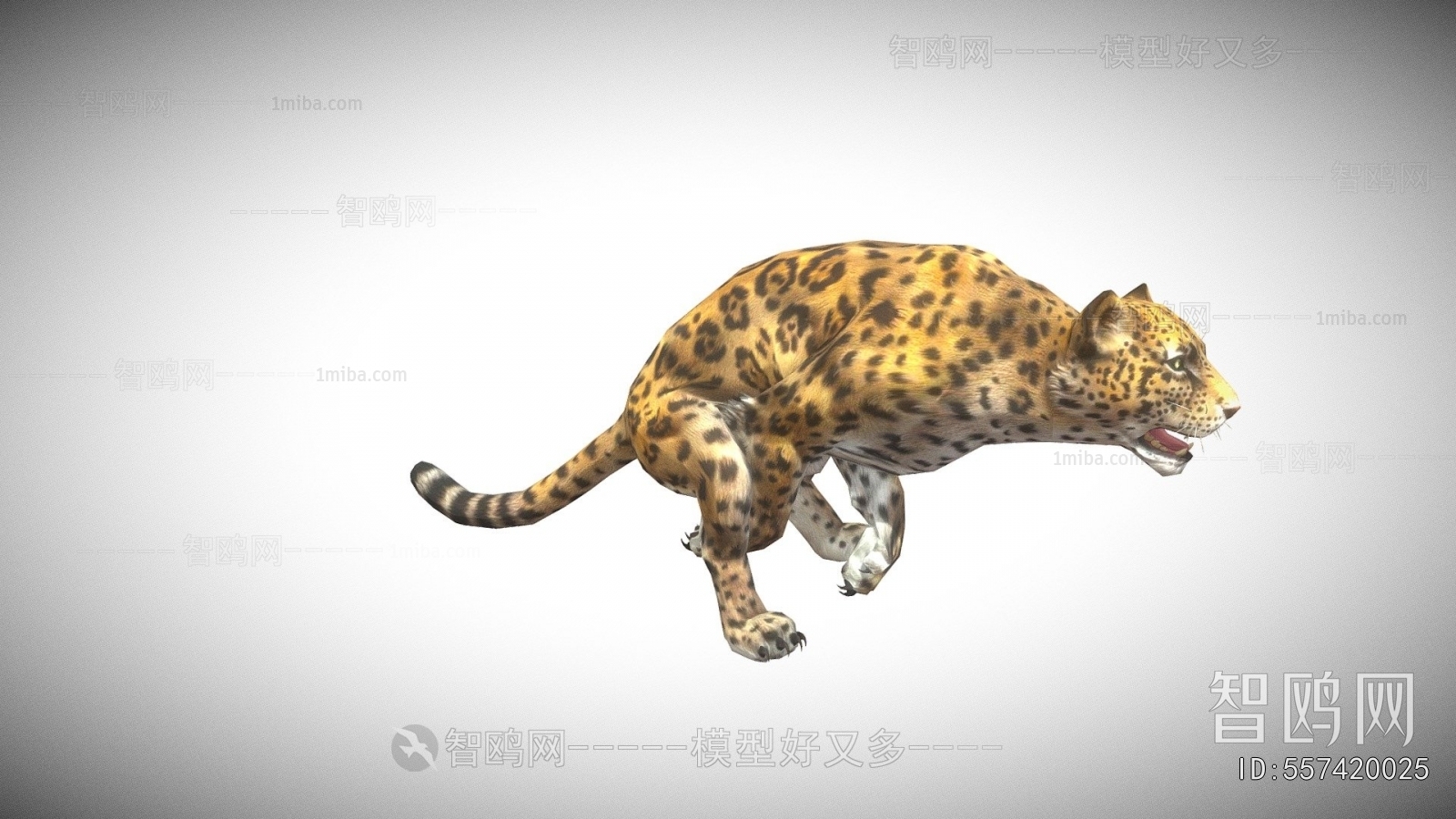 Modern Animal