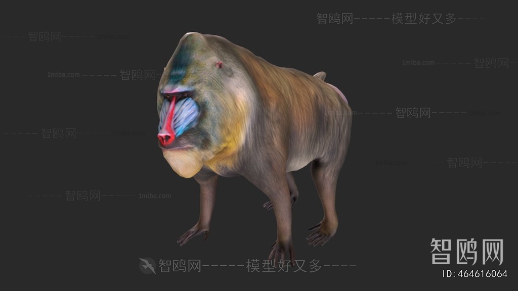 Modern Animal