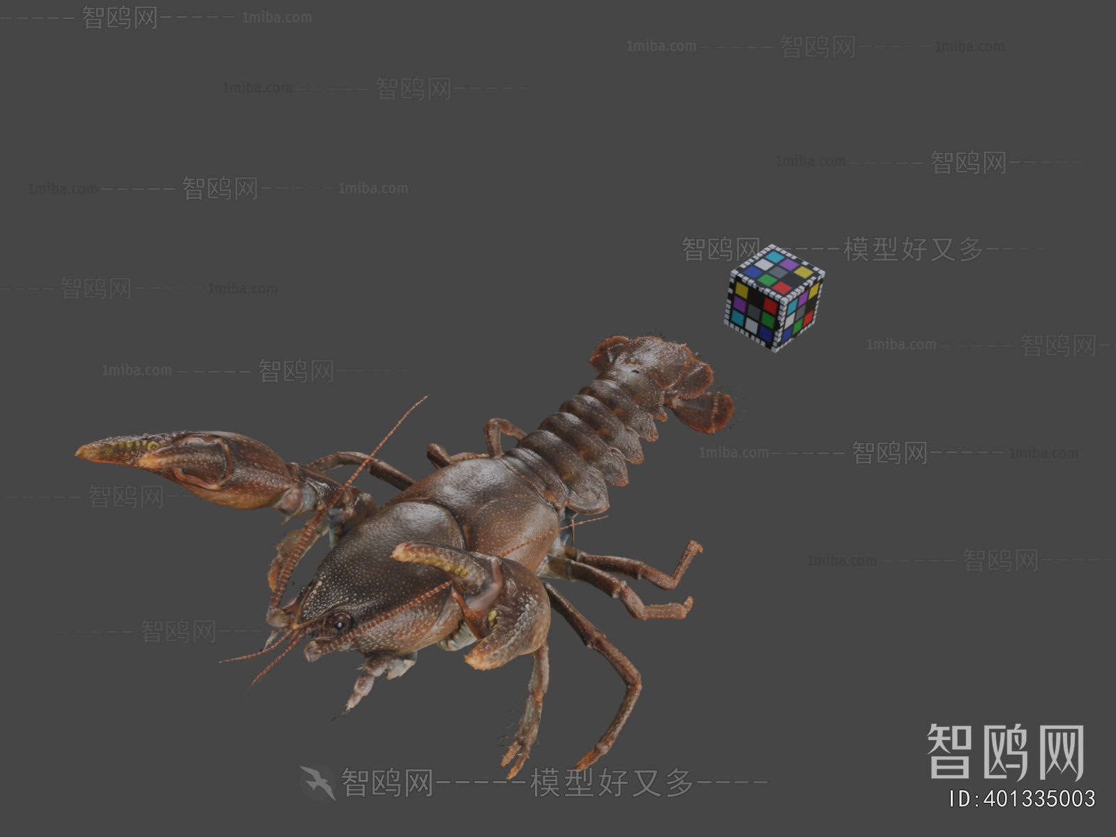 Modern Animal