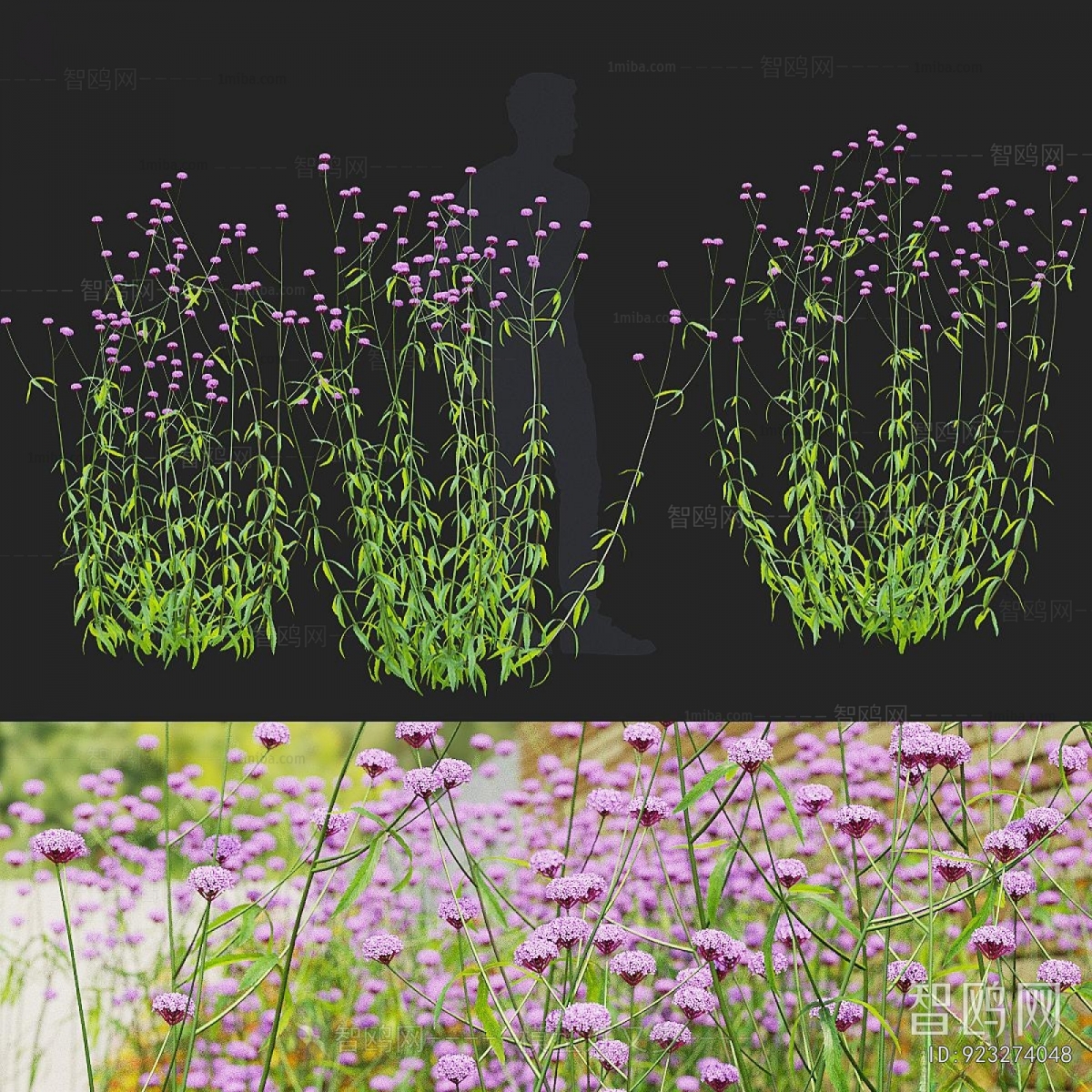 Modern Flowers And Grass
