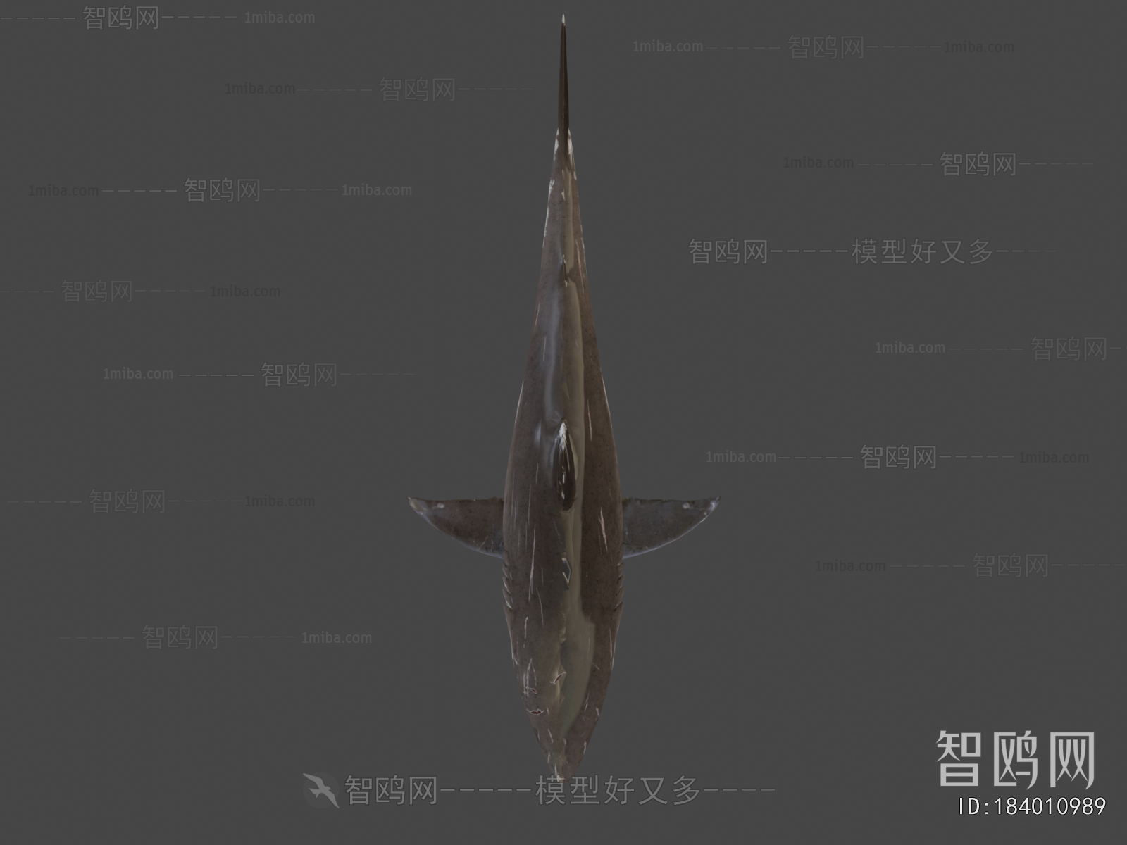 Modern Animal