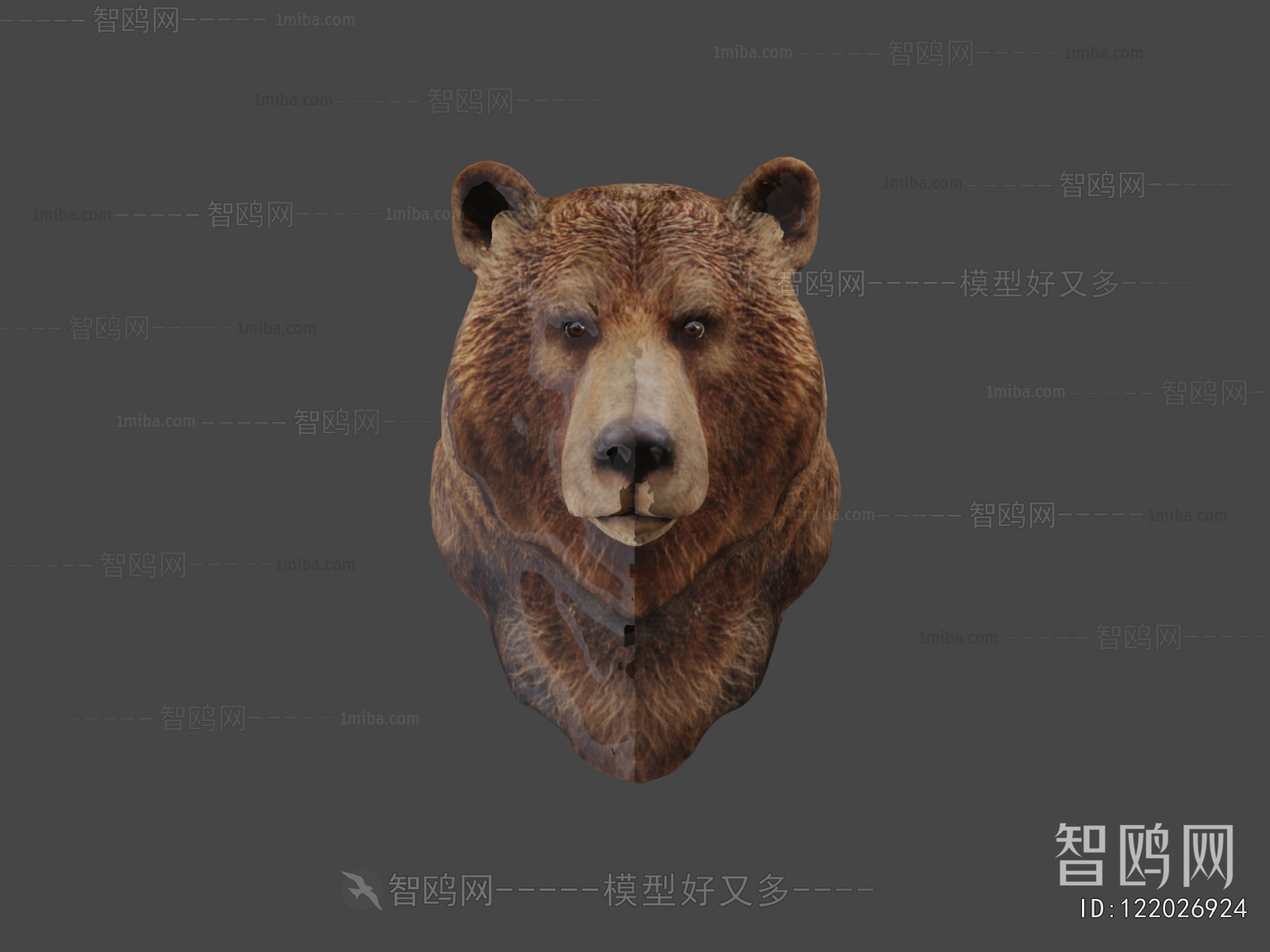 Modern Animal