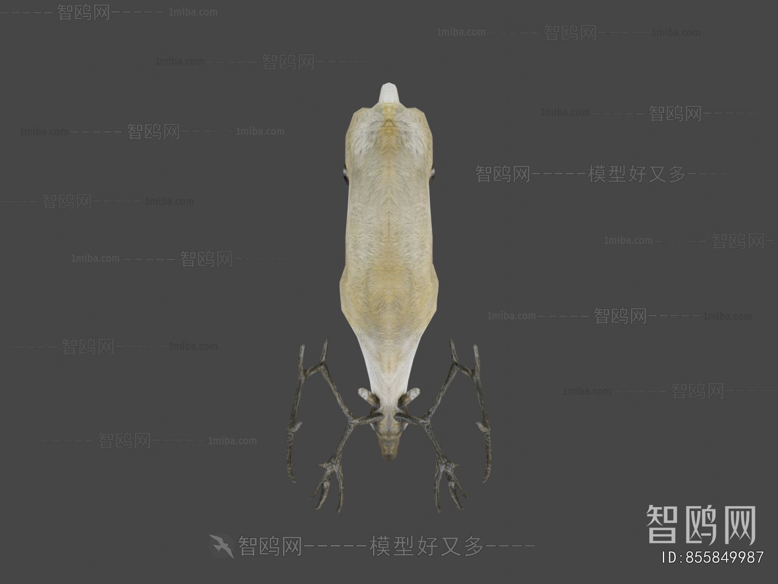 Modern Animal