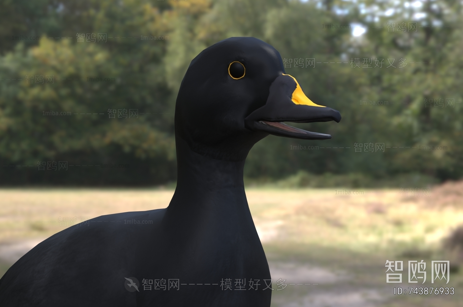 Modern Poultry Animal