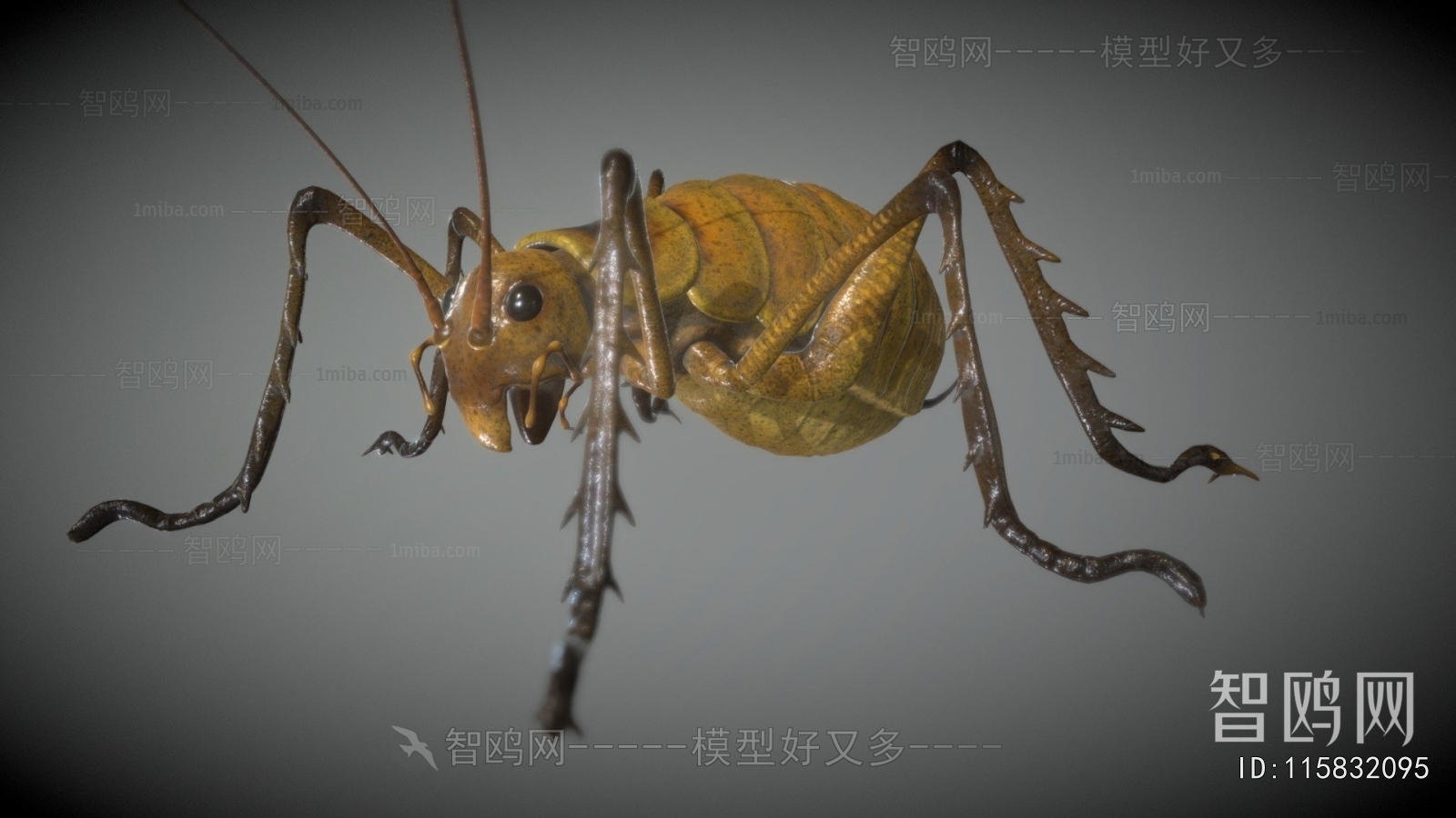 Modern Animal