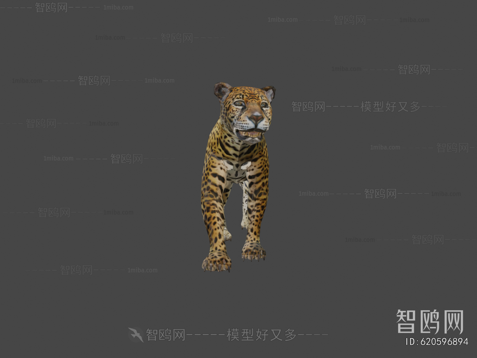Modern Mammal
