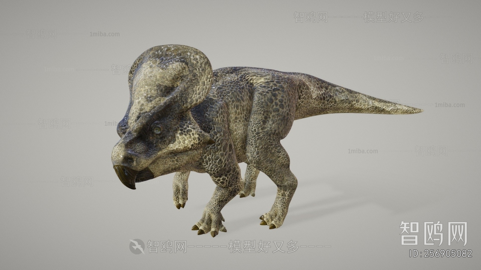Modern Animal
