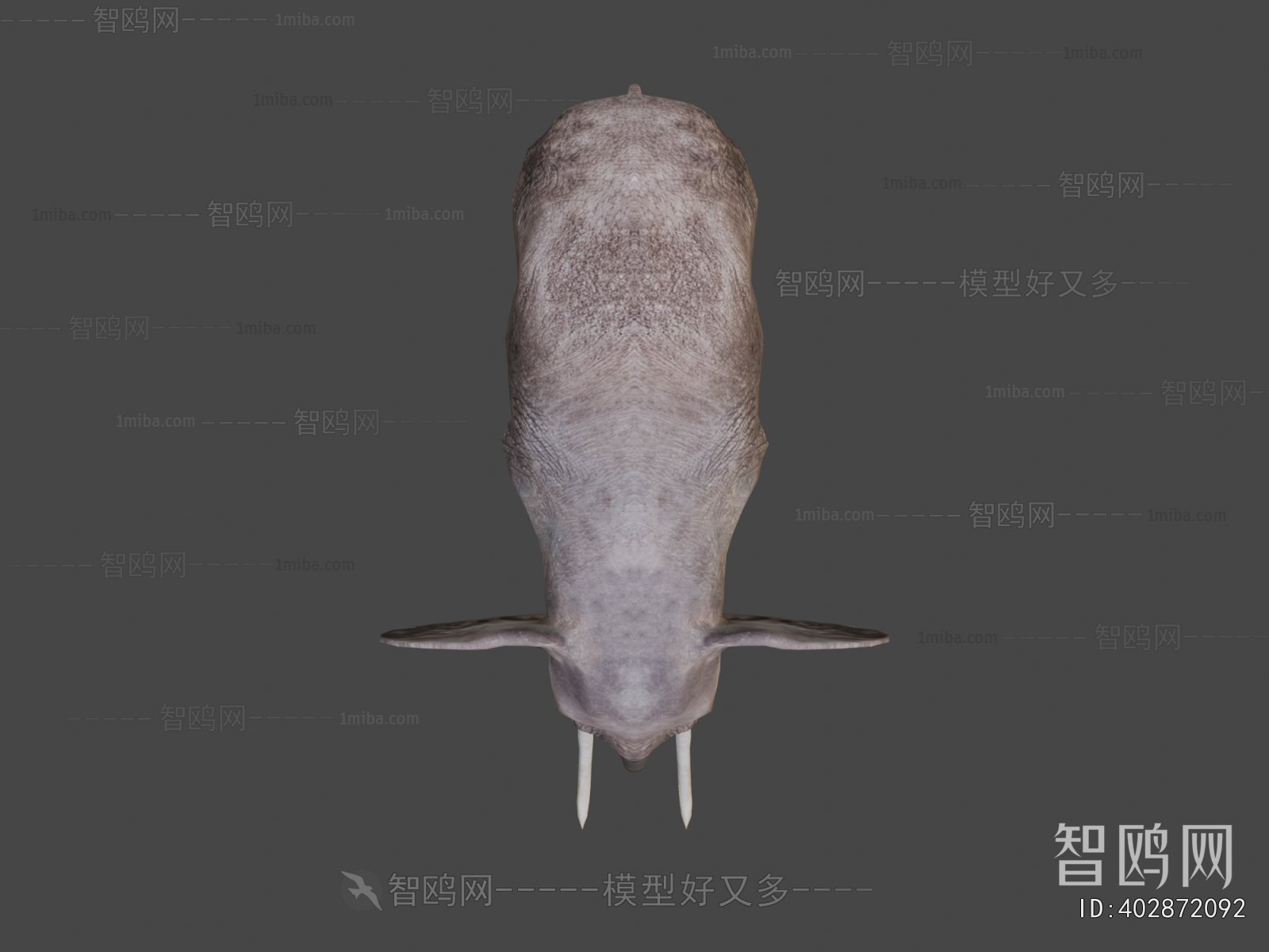 Modern Mammal
