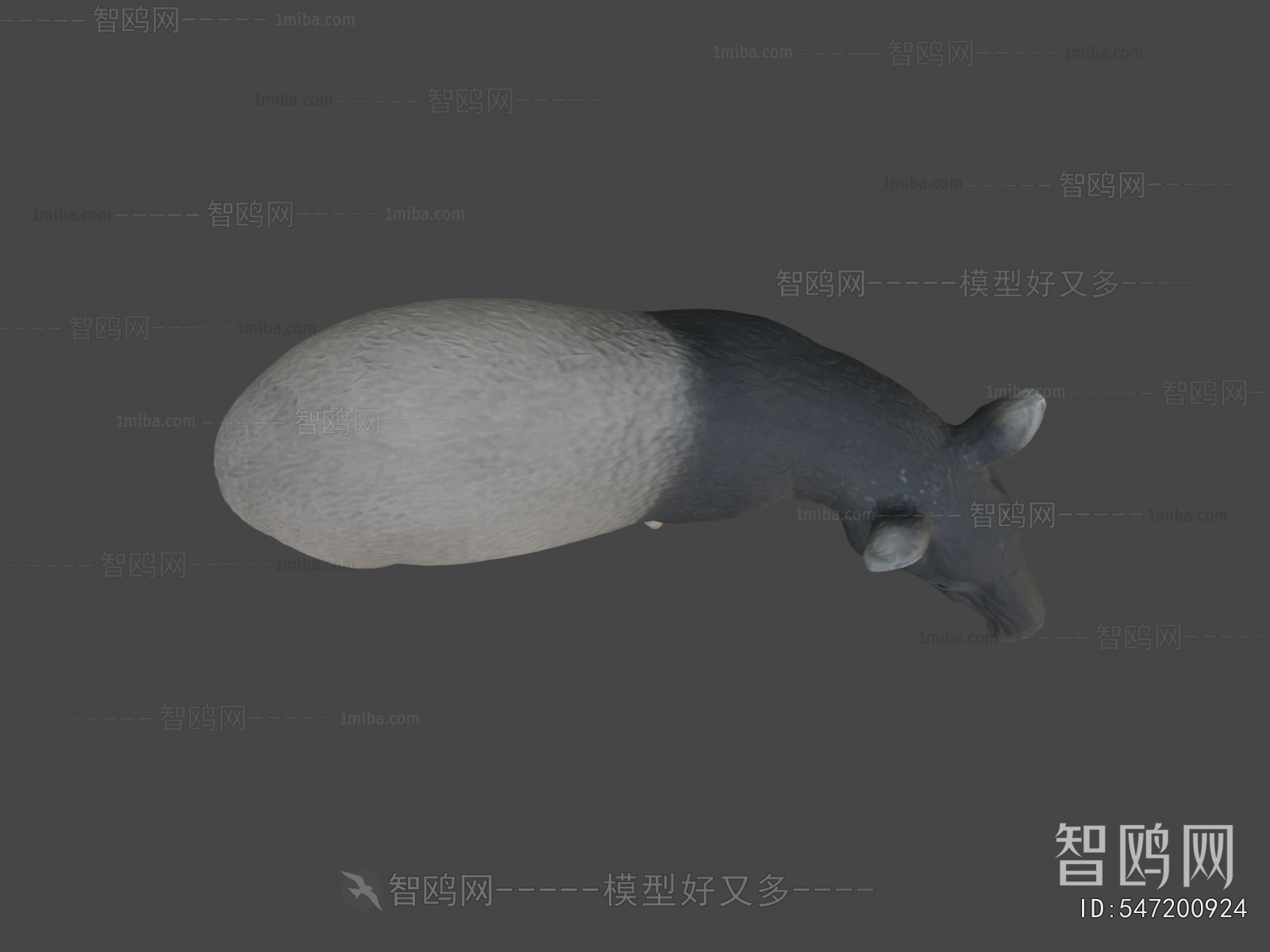 Modern Animal