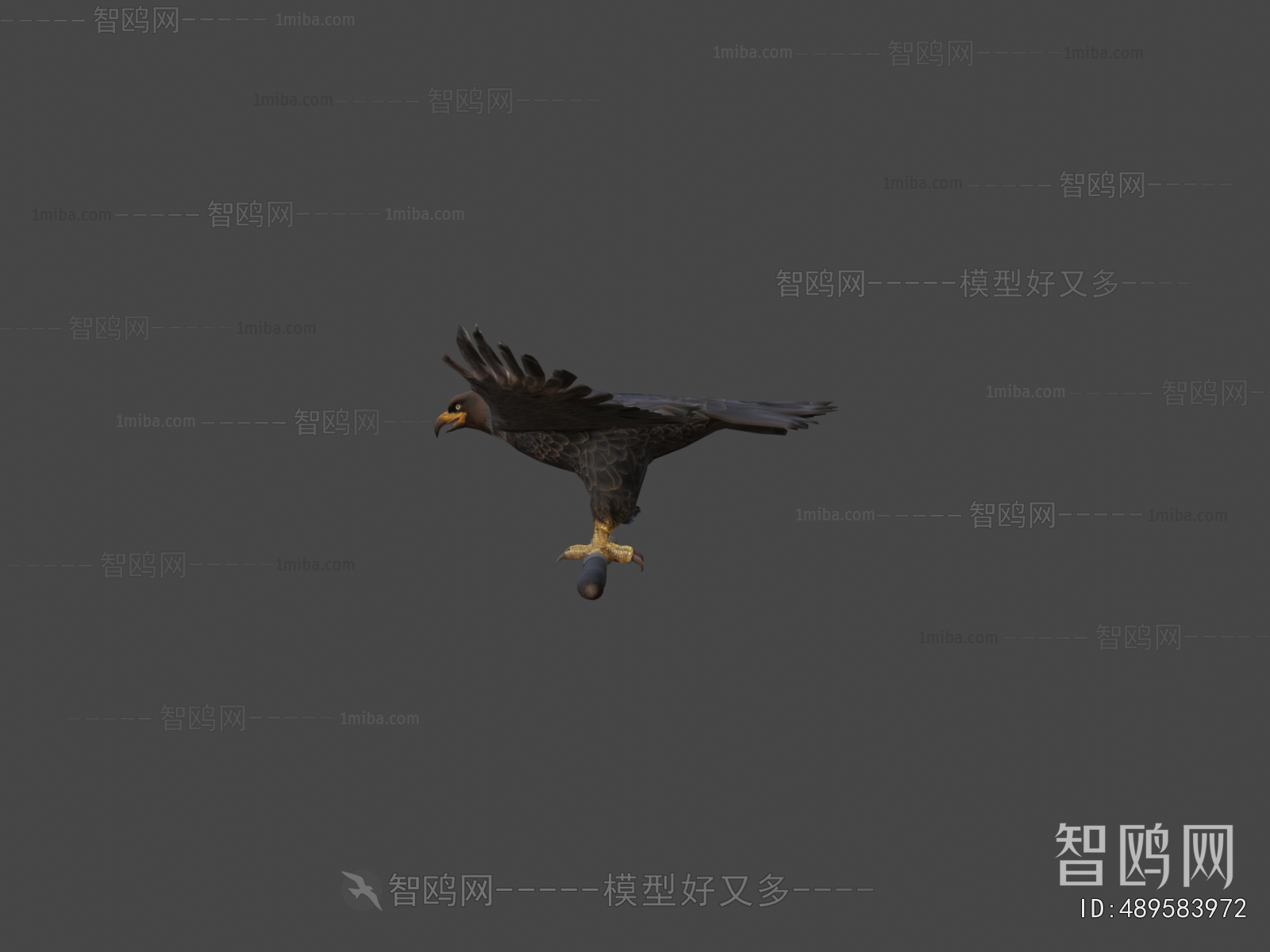 Modern Flying Animals